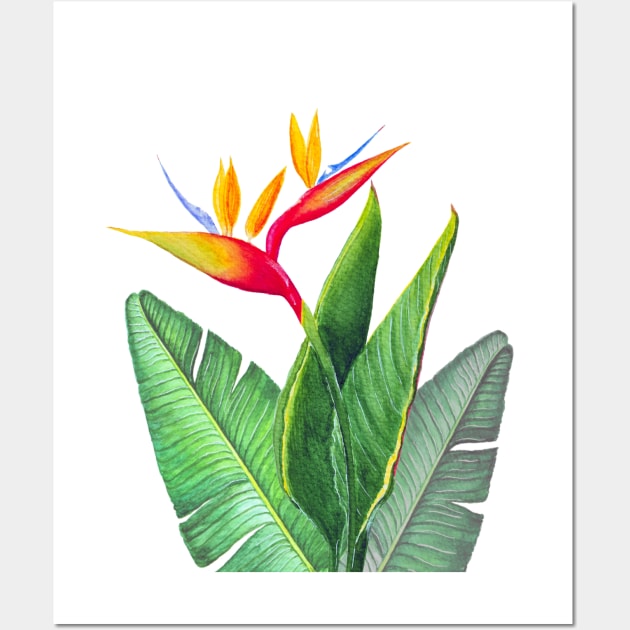 Tropical strelitzia Bird of Paradise flower  watercolor illustration Wall Art by Wolshebnaja